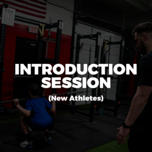 INTRODUCTION SESSION